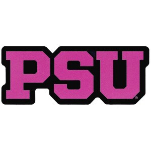 magnet pink PSU